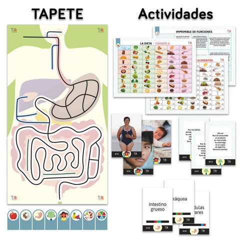 Pack aparato digestivo tilk ozobot tapete + actividades