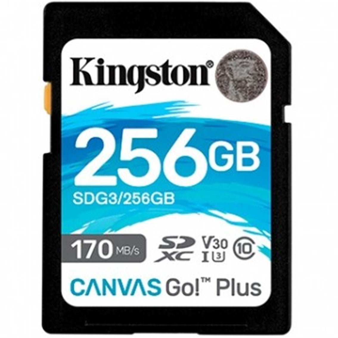 Memoria sdxc 256gb kingston canvas go uhs - i cl1 r: 170mb - s  w:90mb - s