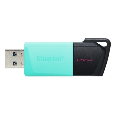 Memoria usb 3.2 kingston 256gb datatraveler dtxm turquesa