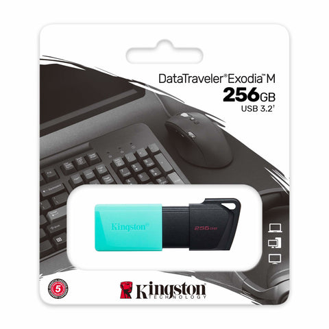 Memoria usb 3.2 kingston 256gb datatraveler dtxm turquesa