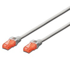 Cable red ewent latiguillo rj45 utp cat6 0.5m gris