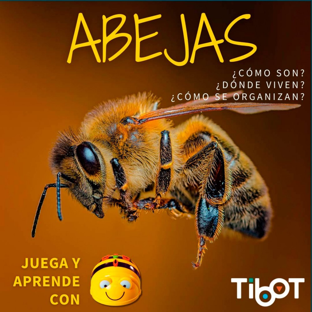 Pack abeja y hormigas tilk bee - bot - blue - bot tapete + actividades