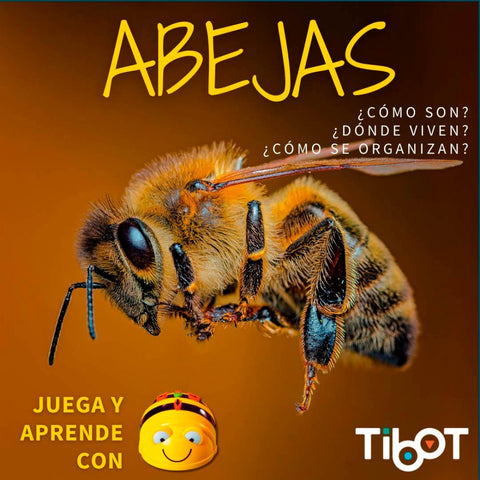 Pack abeja y hormigas tilk bee - bot - blue - bot tapete + actividades