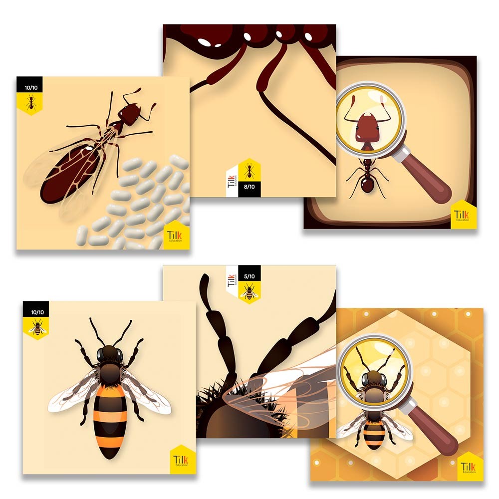 Pack abeja y hormigas tilk bee - bot - blue - bot tapete + actividades