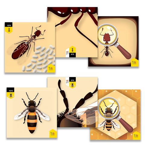 Pack abeja y hormigas tilk bee - bot - blue - bot tapete + actividades
