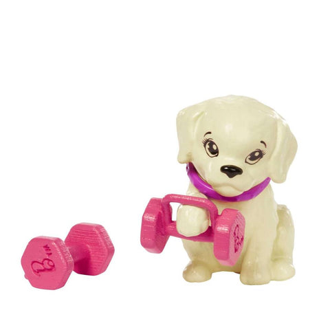 Muñeca barbie mattel conjunto entrenamiento y cachorrito