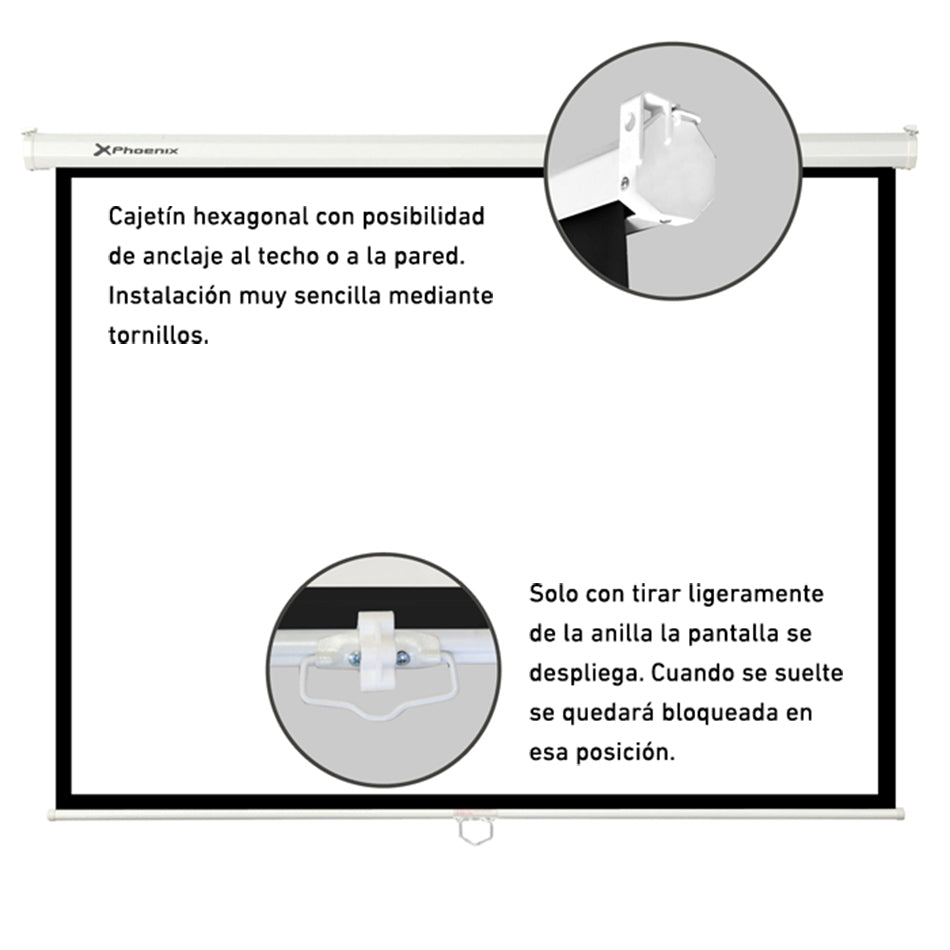 Phoenix -  pantalla de proyección manual plegable 112 pulgadas 2 x 2m formatos 1:1 4:3 16:9 de techo y pared